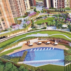 Play Area & Amenities